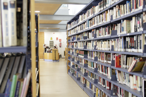 biblioteca publica municipal lucena