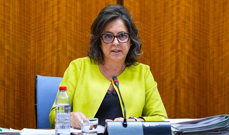 catalina garcía carrasco consejera salud andalucia