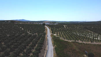 senderos lucena moriles