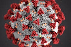 coronavirus lucena