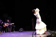 gala jovenes flamencos lucena