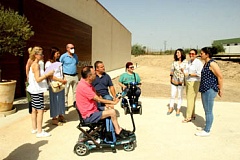 alfares romanos los tejares lucena accesibilidad amfe once