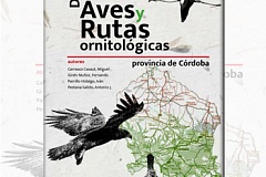 guia aves rutas ornitologicas lucena